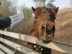 -酷鱼垂钓CLUB(朝阳区博大路店 )