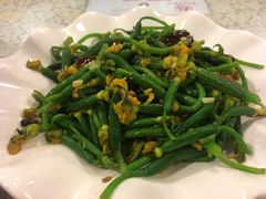 炝炒黄瓜苗-文三里屯面馆(三里屯店)