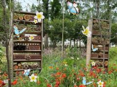 -前小桔亲子创意农场·草莓采摘·露营烧烤