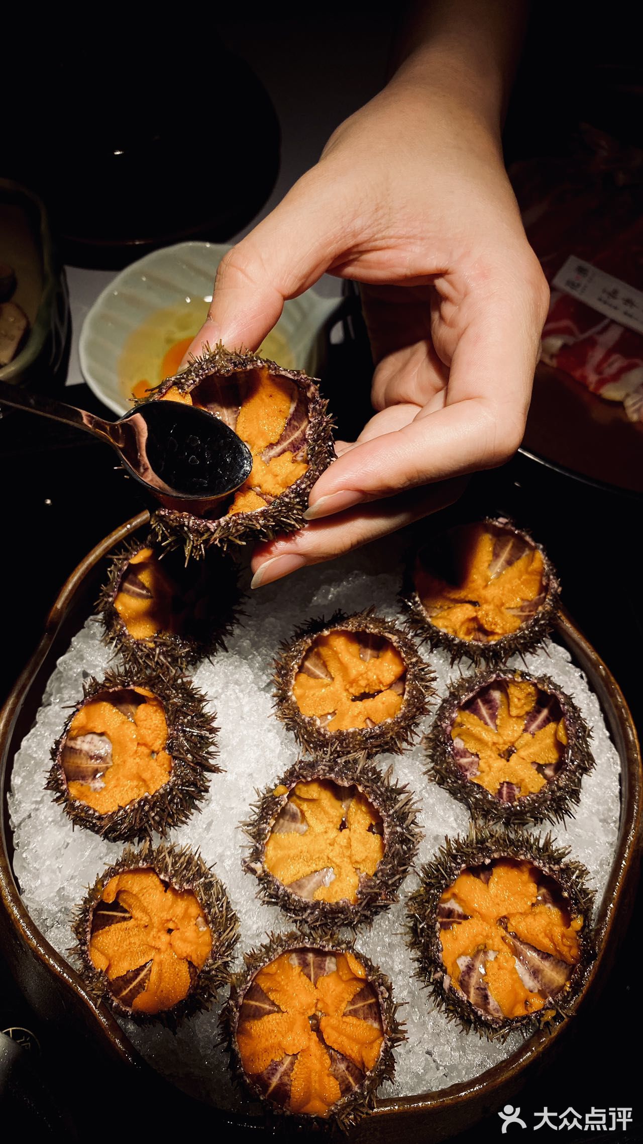 【花潮】海口豪华日料自助上新啦，“马粪海胆”超级丝滑鲜甜！