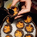 【花潮】海口豪华日料自助上新啦，“马粪海胆”超级丝滑鲜甜！