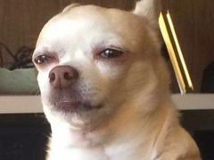 -大妙火锅·非物质文化遗产(东湖公园店)