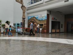 -自贡恐龙博物馆