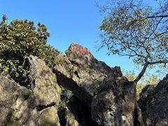 -超山青莲寺