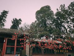 -颐和园