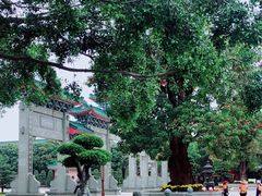 -广东圆玄道观