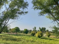 -汉长安城未央宫国家考古遗址公园