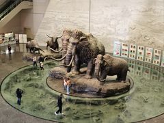 -大庆市博物馆