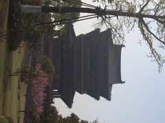 iphone_upload_pic-凤城河风景区