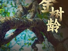 -华祥苑茶馆•国缤茶小蓝罐(普罗旺斯店)