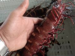 -外伶仃岛海鲜市场