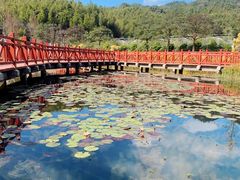 -广州市石门国家森林公园