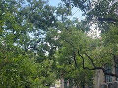 -上海安亭别墅花园酒店