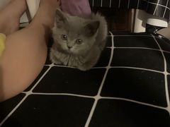 -甜甜屋(解放中路店)