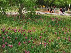 -长春公园(普阳街道)