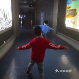 上海海昌公园