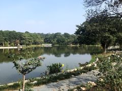 -东莞植物园
