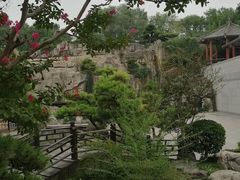 -中国唐苑