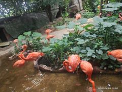 -长鹿旅游休博园