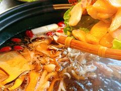 -滇野云南野生菌餐厅(陕西南路店)