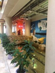 -沈阳市妇婴医院