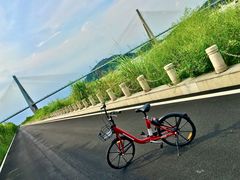 -芒洲湿地公园