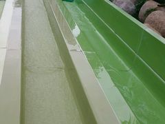 -亚马逊丛林水乐园