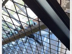 -LikingFit24小时健身•普拉提(张江店)