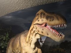 -大同煤炭博物馆