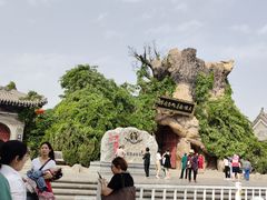 -大槐树寻根祭祖园