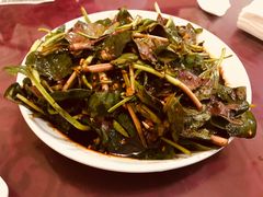 -温江公平红烧兔(总店)