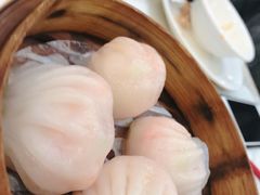 有腥气虾饺皇-有腥气私房菜·寻味顺德