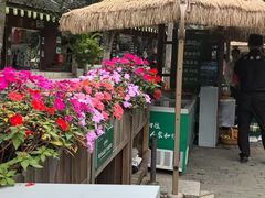 -野象谷景区