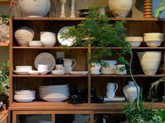 -自由生长植物工作室(深港花卉中心店)