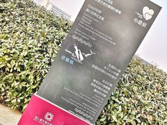 -琴岛之星摩天轮