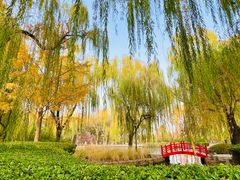 -玲珑塔公园