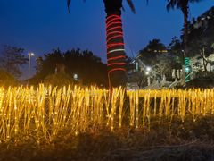 -亚龙湾中心广场