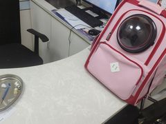 -中农国际动物医院24小时·猫科·骨科·急重症中心