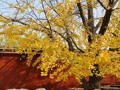 -北京石刻艺术博物馆(五塔寺)