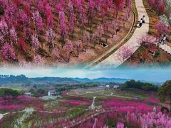 -常德桃花源景区