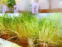 -串一火锅(赛格国际购物中心店)