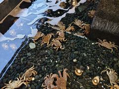 -蟹料理 北海道かに将軍(札幌本店)