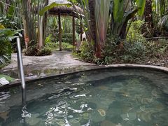 -碧桂园润杨溪谷温泉酒店