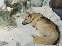 -哈尔滨极地公园