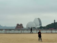 -野狸岛