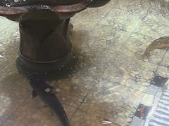 -万里闯关东铁锅炖菜馆(高新旗舰店)