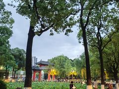 -四川大学(望江校区)