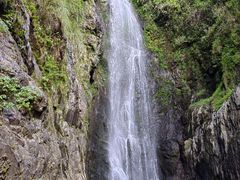 -祁门牯牛降观音堂风景区