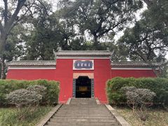 -子昂故里文化旅游区