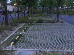 -上海浦江郊野公园-2号停车场